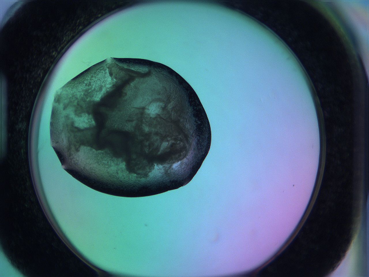 05zc_H6_ImagerDefaults_3.jpg