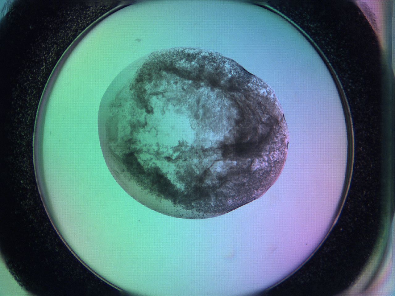 05zc_H9_ImagerDefaults_3.jpg