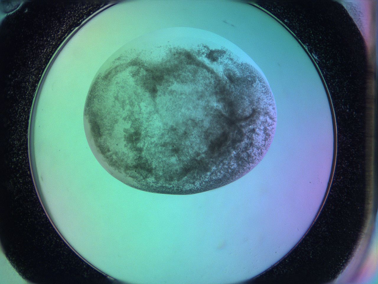 05zc_H10_ImagerDefaults_3.jpg