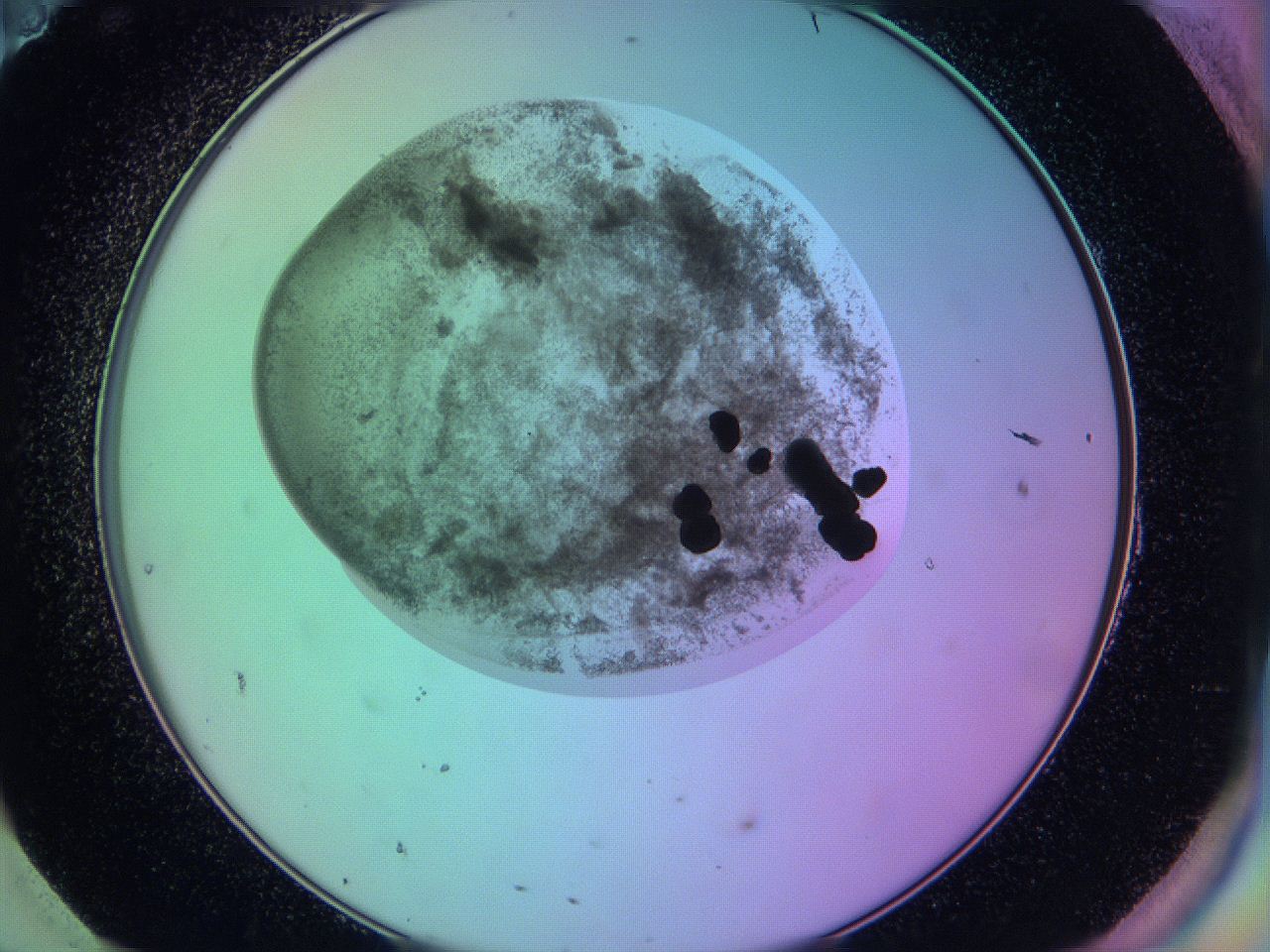 05zc_H11_ImagerDefaults_3.jpg