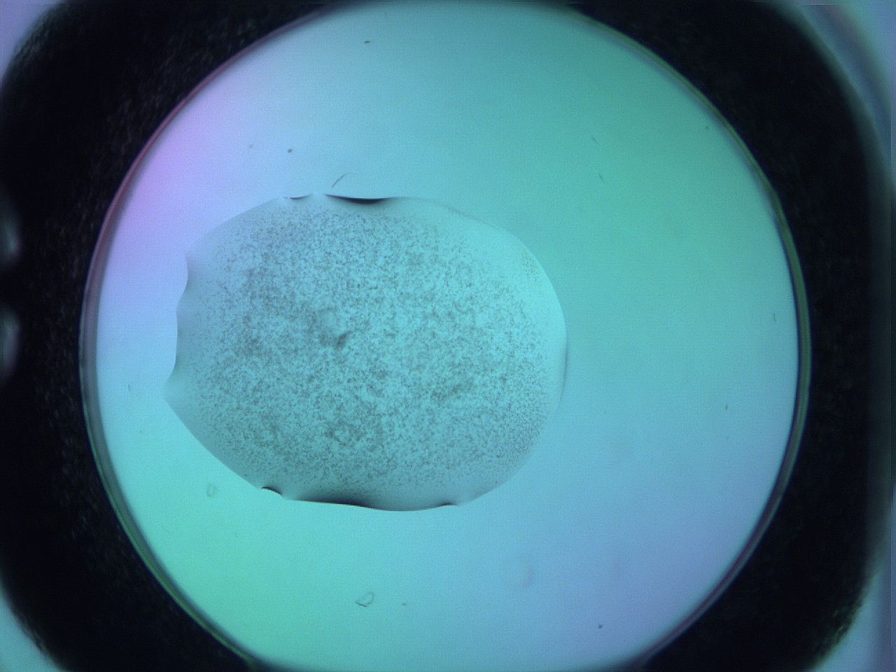05zd_C6_ImagerDefaults_3.jpg