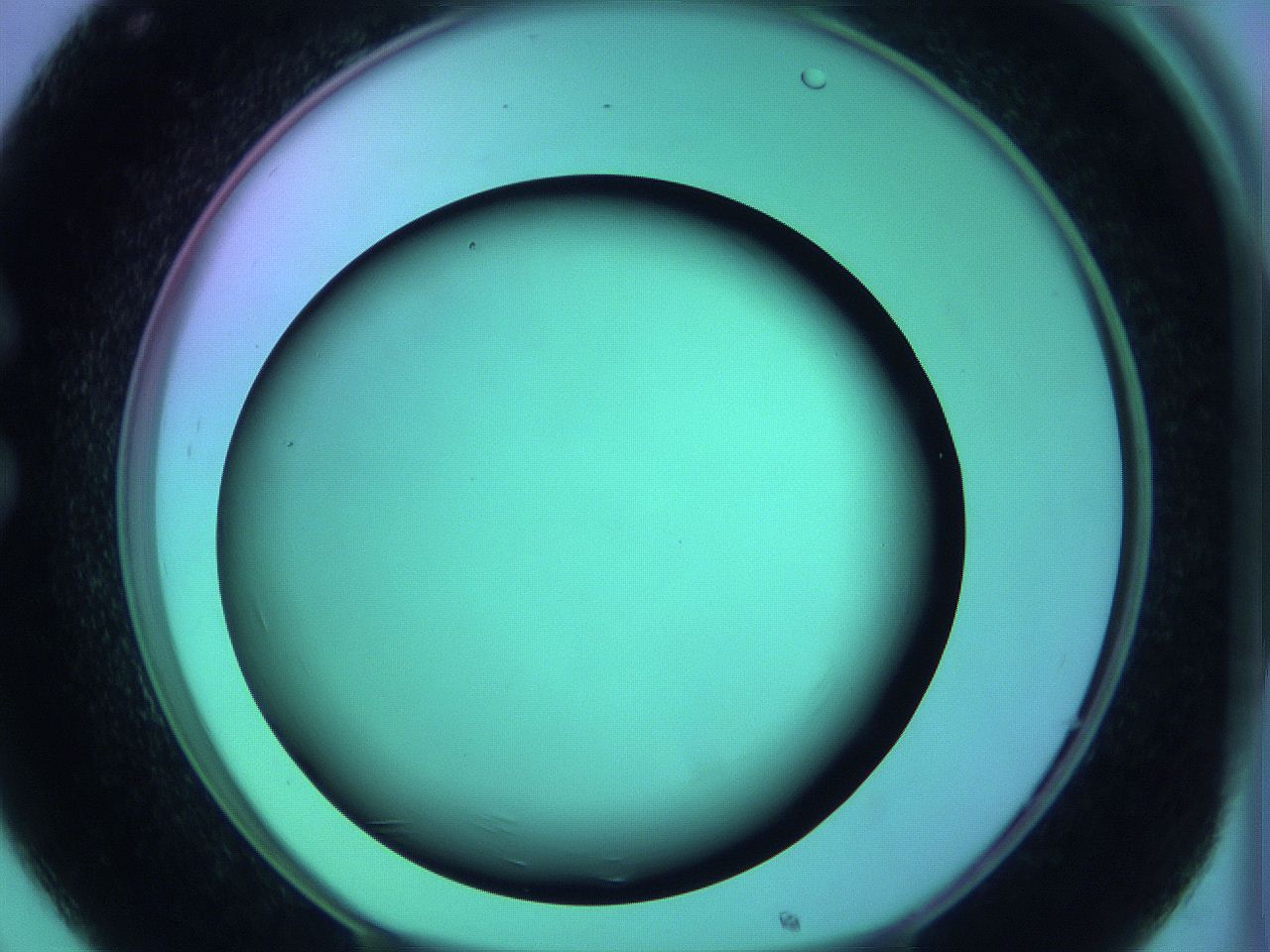 05zd_C8_ImagerDefaults_0.jpg