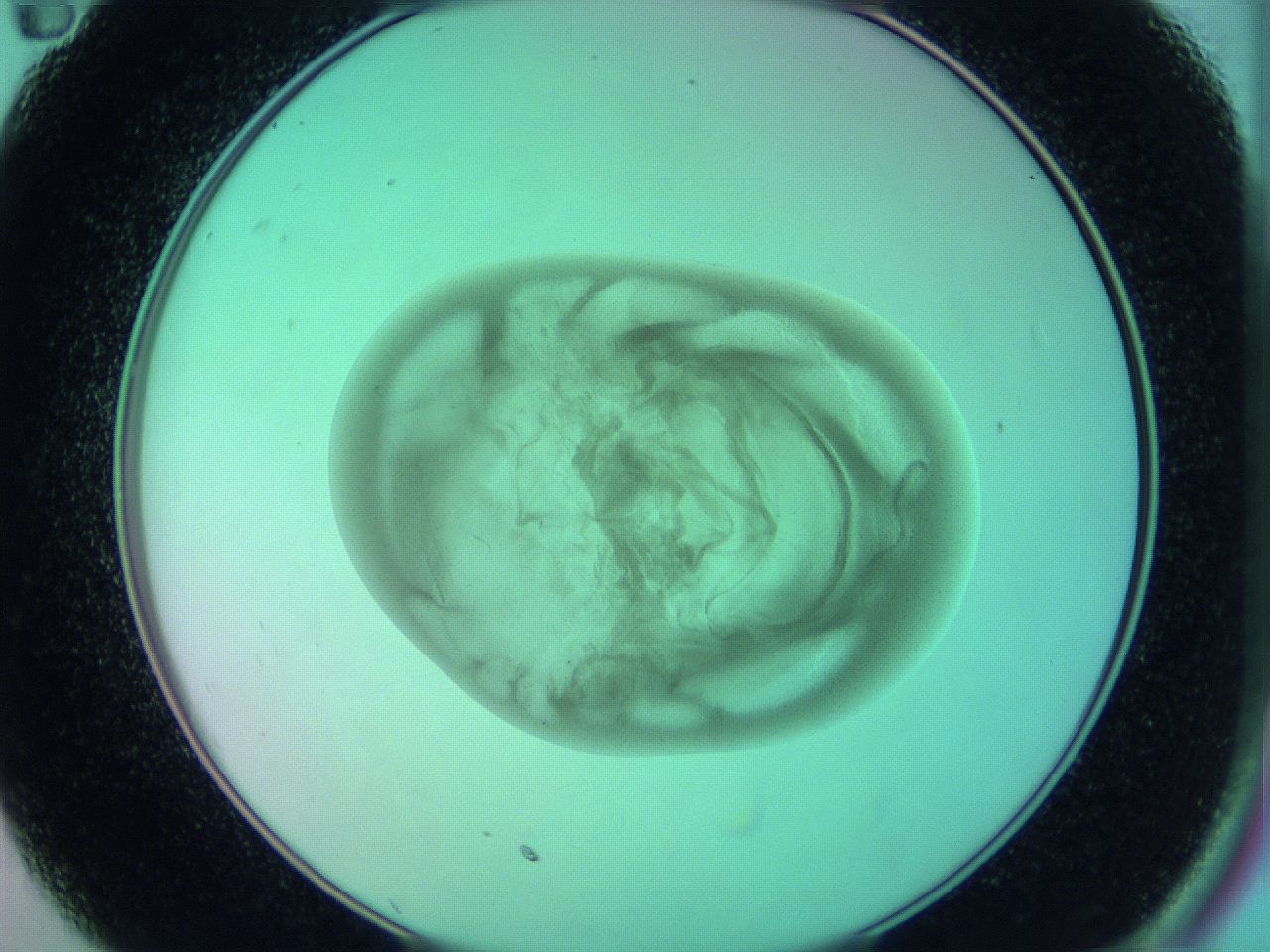 05zd_C11_ImagerDefaults_3.jpg