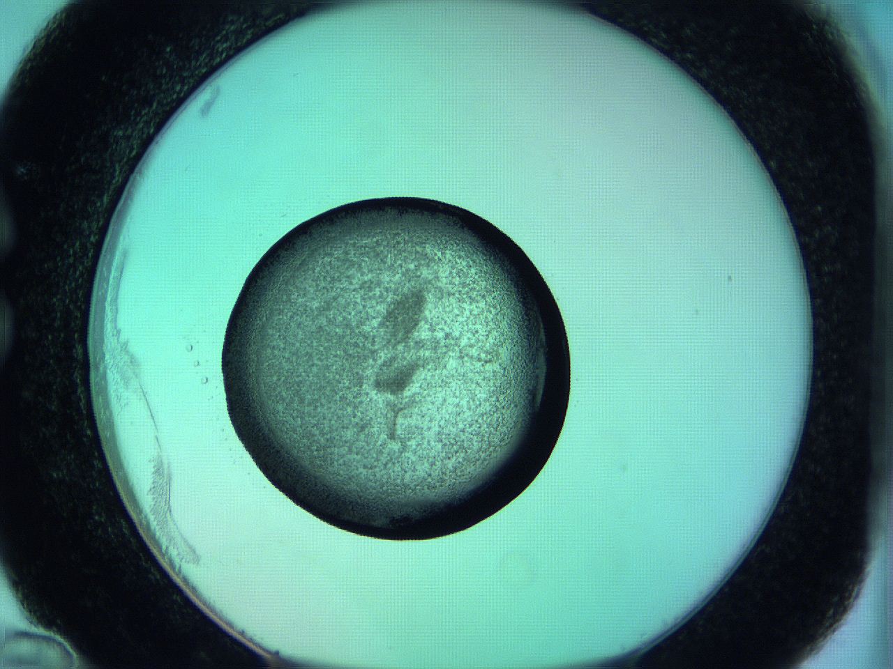 05zd_C12_ImagerDefaults_3.jpg