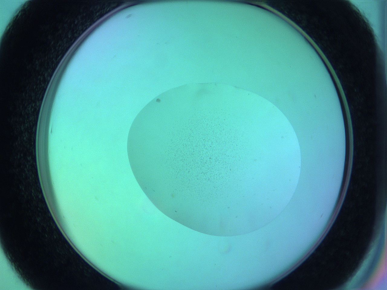 05zd_D7_ImagerDefaults_3.jpg
