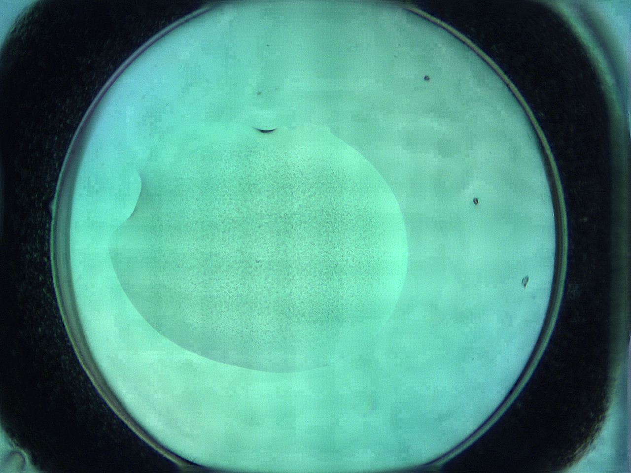 05zd_D11_ImagerDefaults_3.jpg