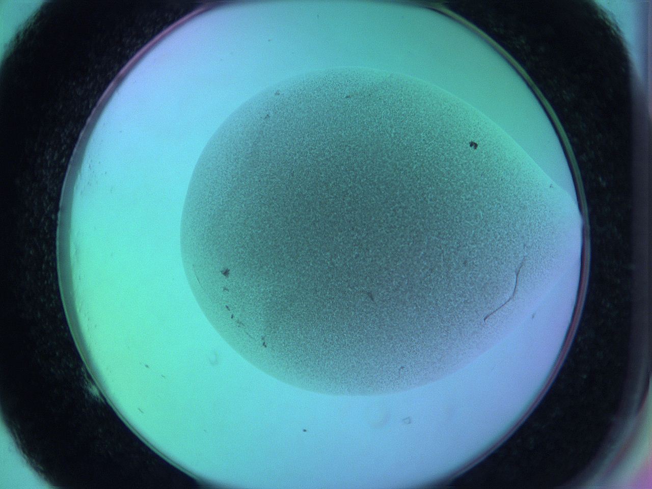 05zd_E5_ImagerDefaults_3.jpg