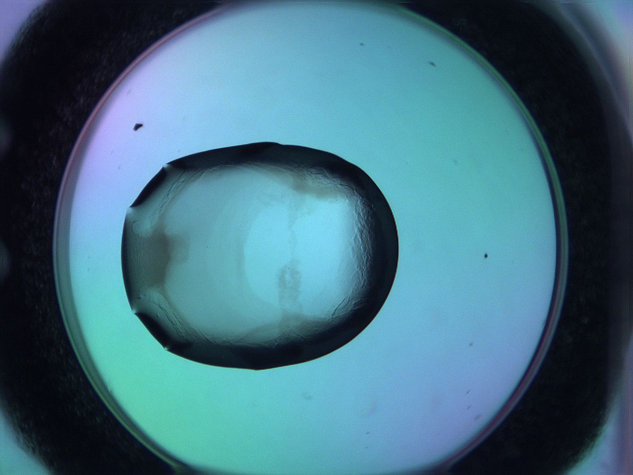 05zd_E6_ImagerDefaults_3.jpg