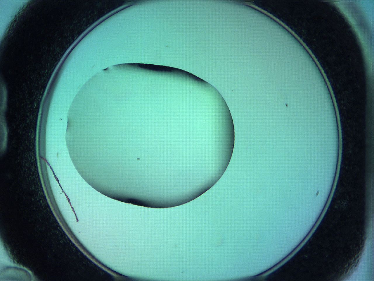 05zd_B12_ImagerDefaults_0.jpg