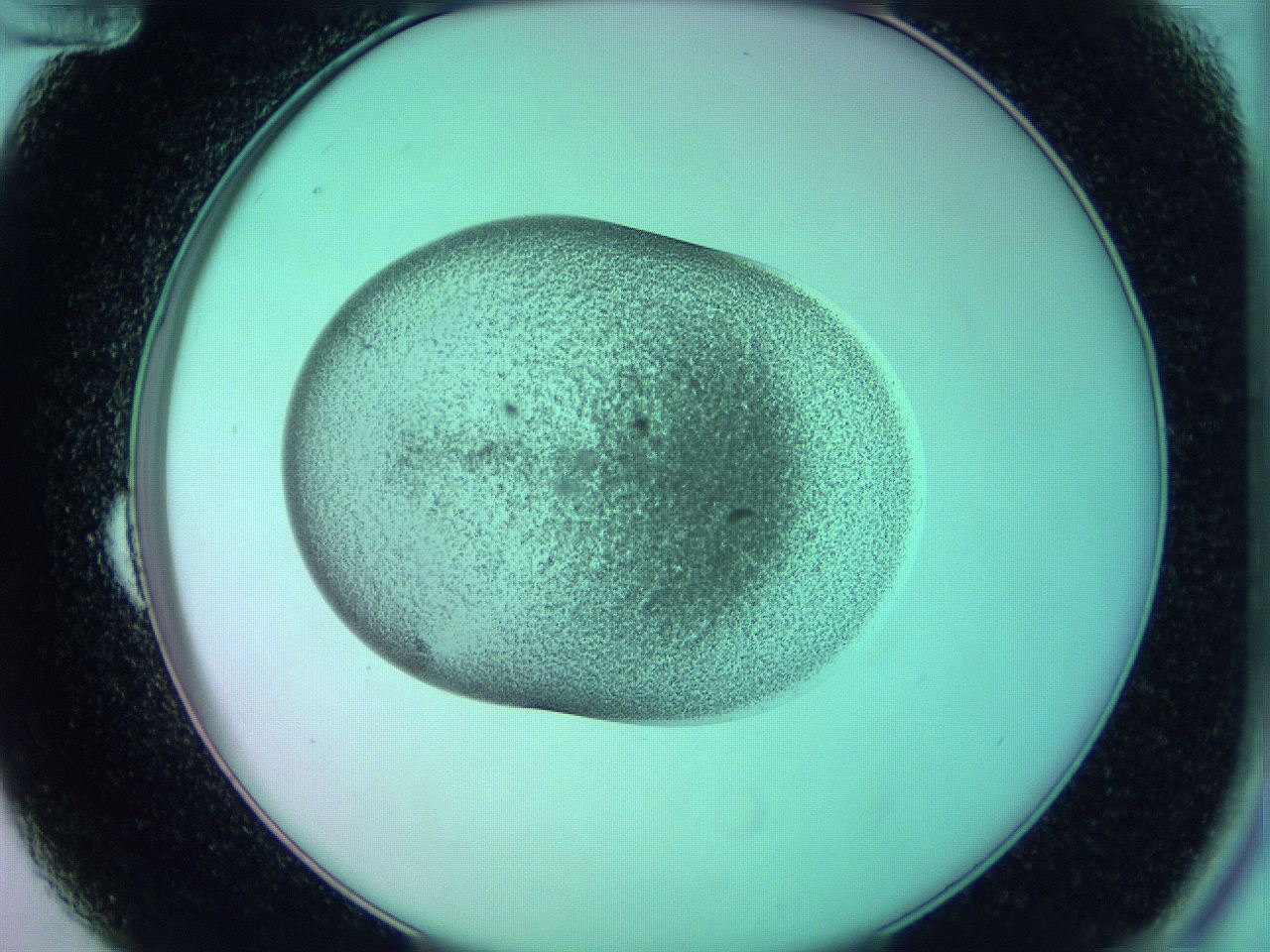 05zd_B12_ImagerDefaults_3.jpg