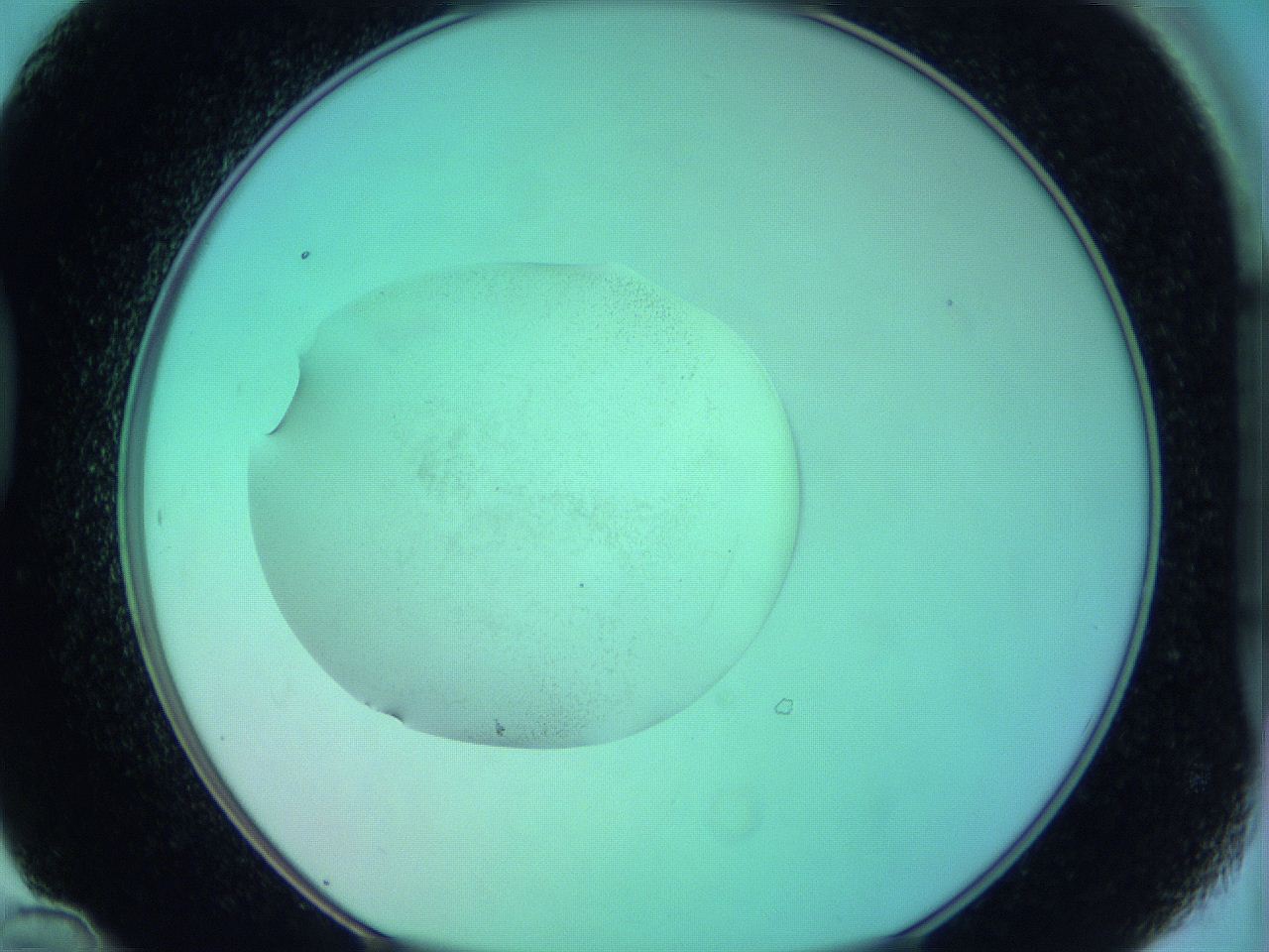 05zd_D12_ImagerDefaults_0.jpg