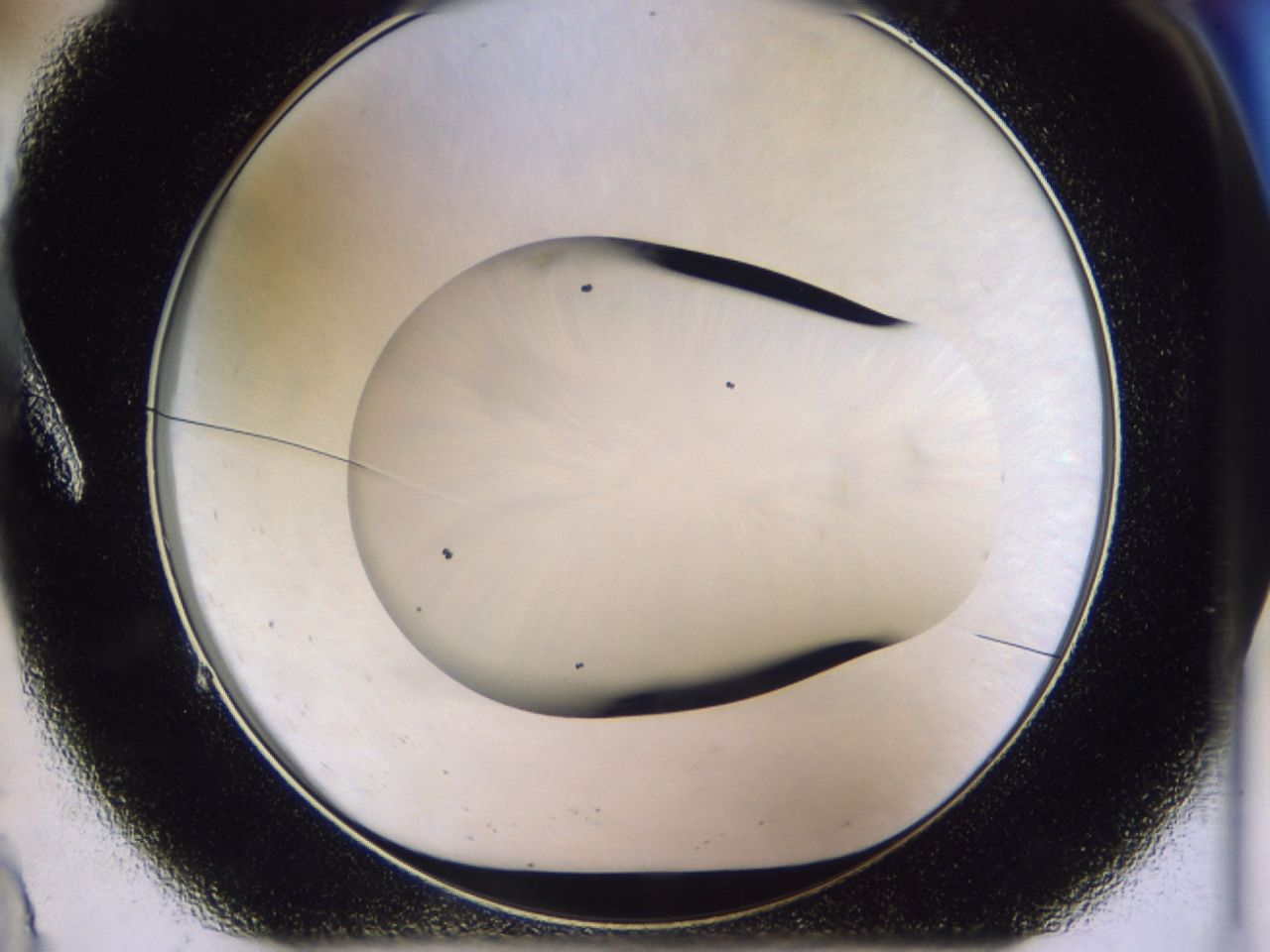 025s_A9_ImagerDefaults_7.jpg