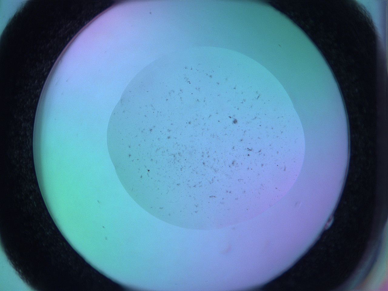 05zd_E4_ImagerDefaults_6.jpg