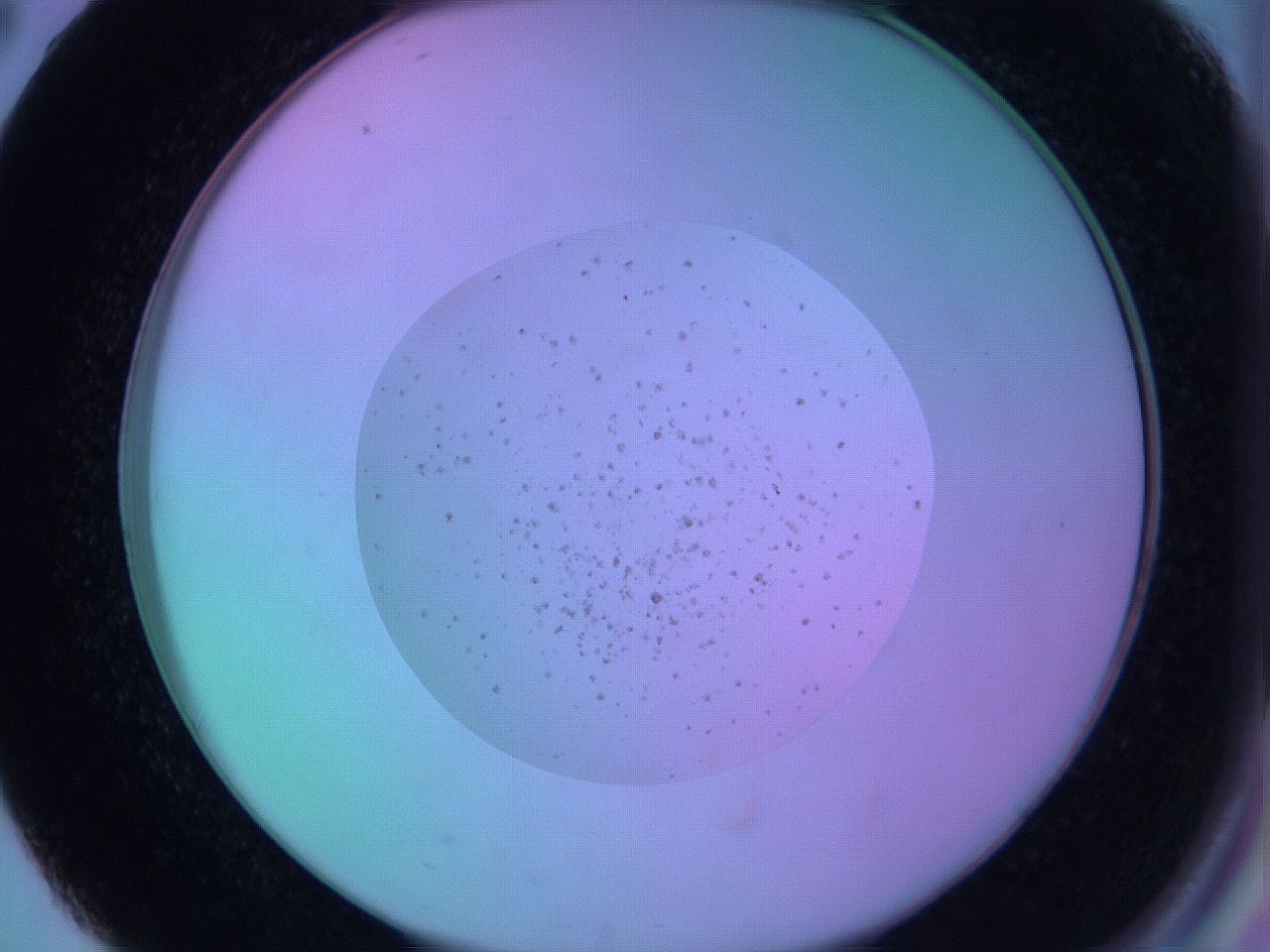 05zd_D2_ImagerDefaults_6.jpg