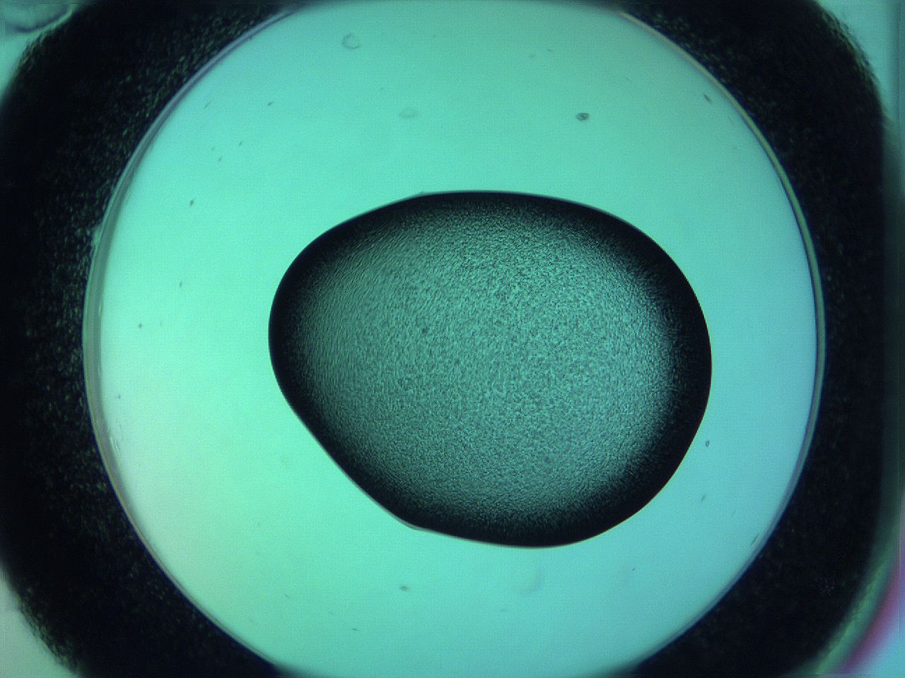 05zd_C10_ImagerDefaults_3.jpg