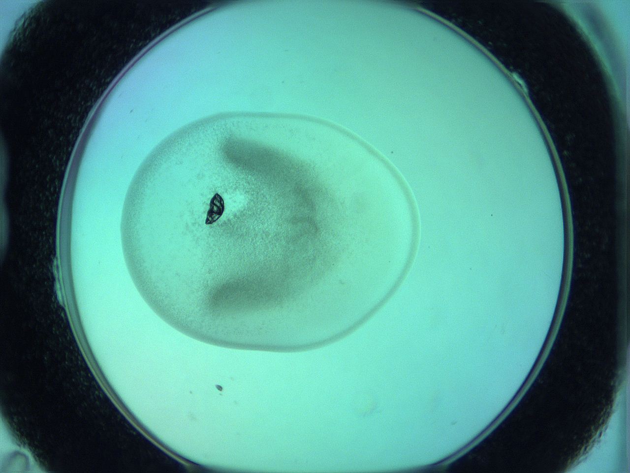 05zd_B11_ImagerDefaults_3.jpg