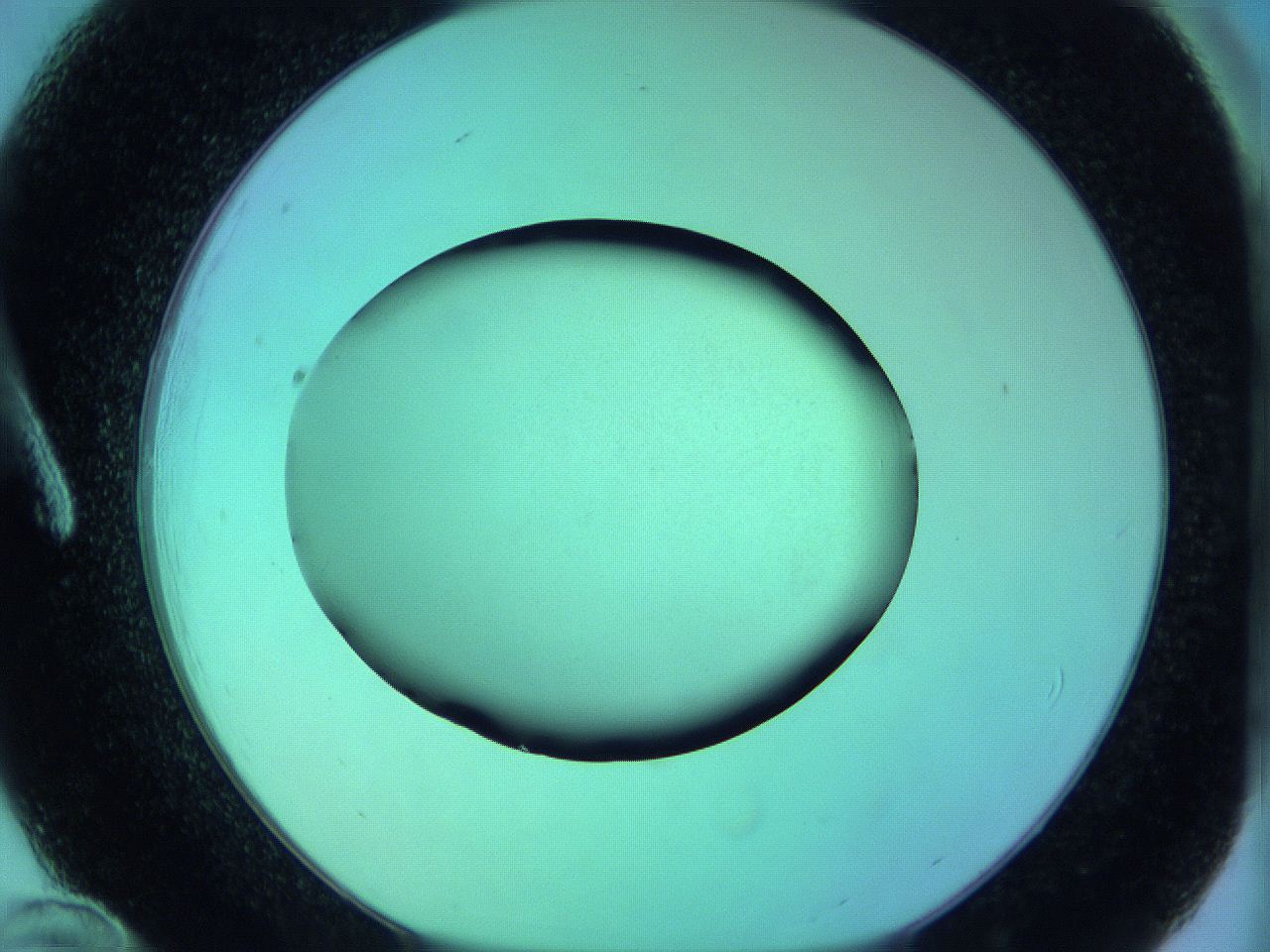 05zd_A12_ImagerDefaults_0.jpg