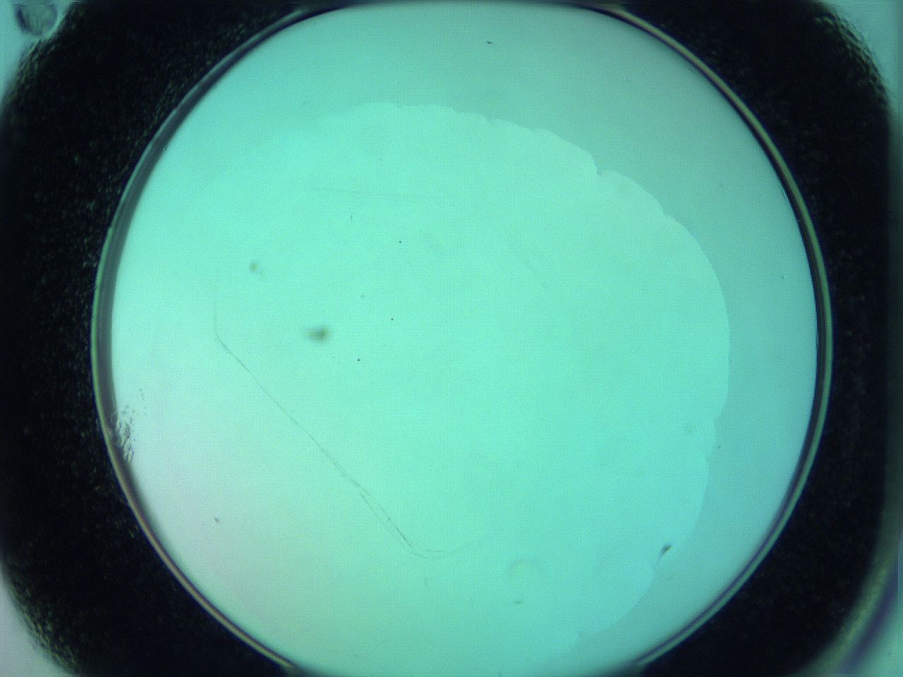 05zd_A11_ImagerDefaults_0.jpg