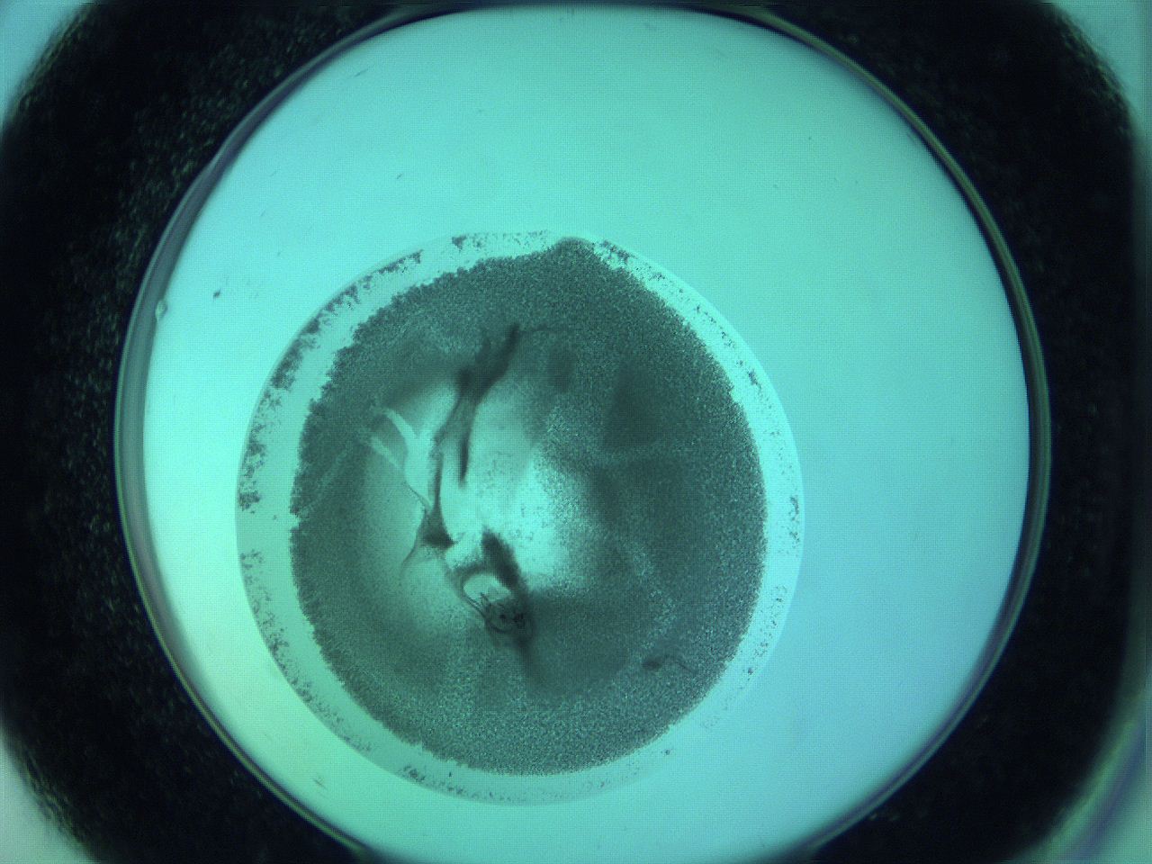 05zd_A9_ImagerDefaults_3.jpg