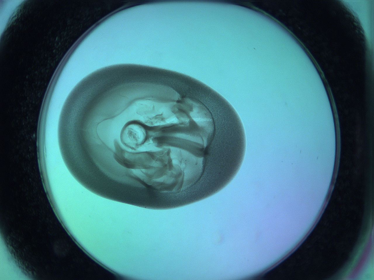 05zd_A6_ImagerDefaults_3.jpg