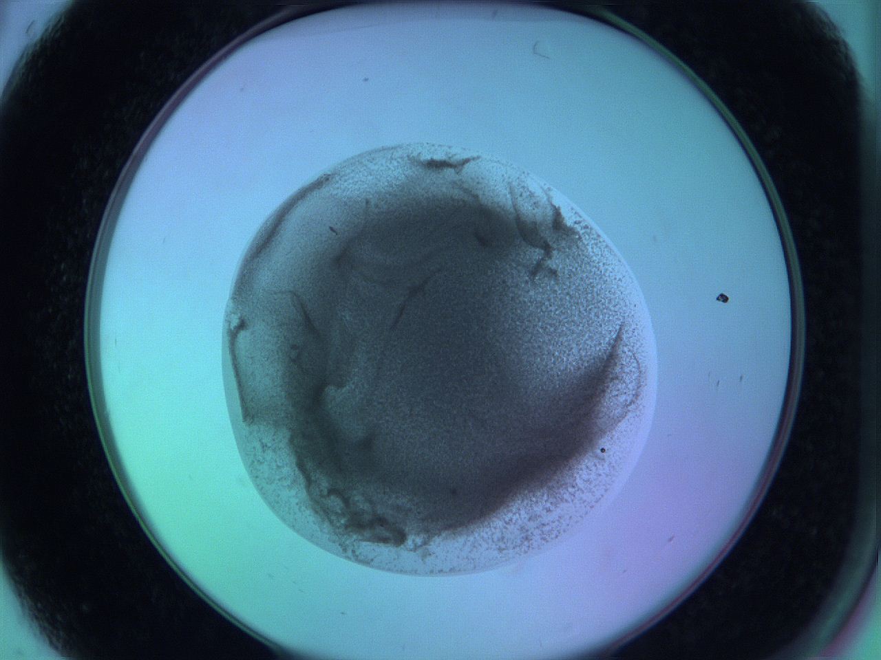 05zd_A4_ImagerDefaults_3.jpg