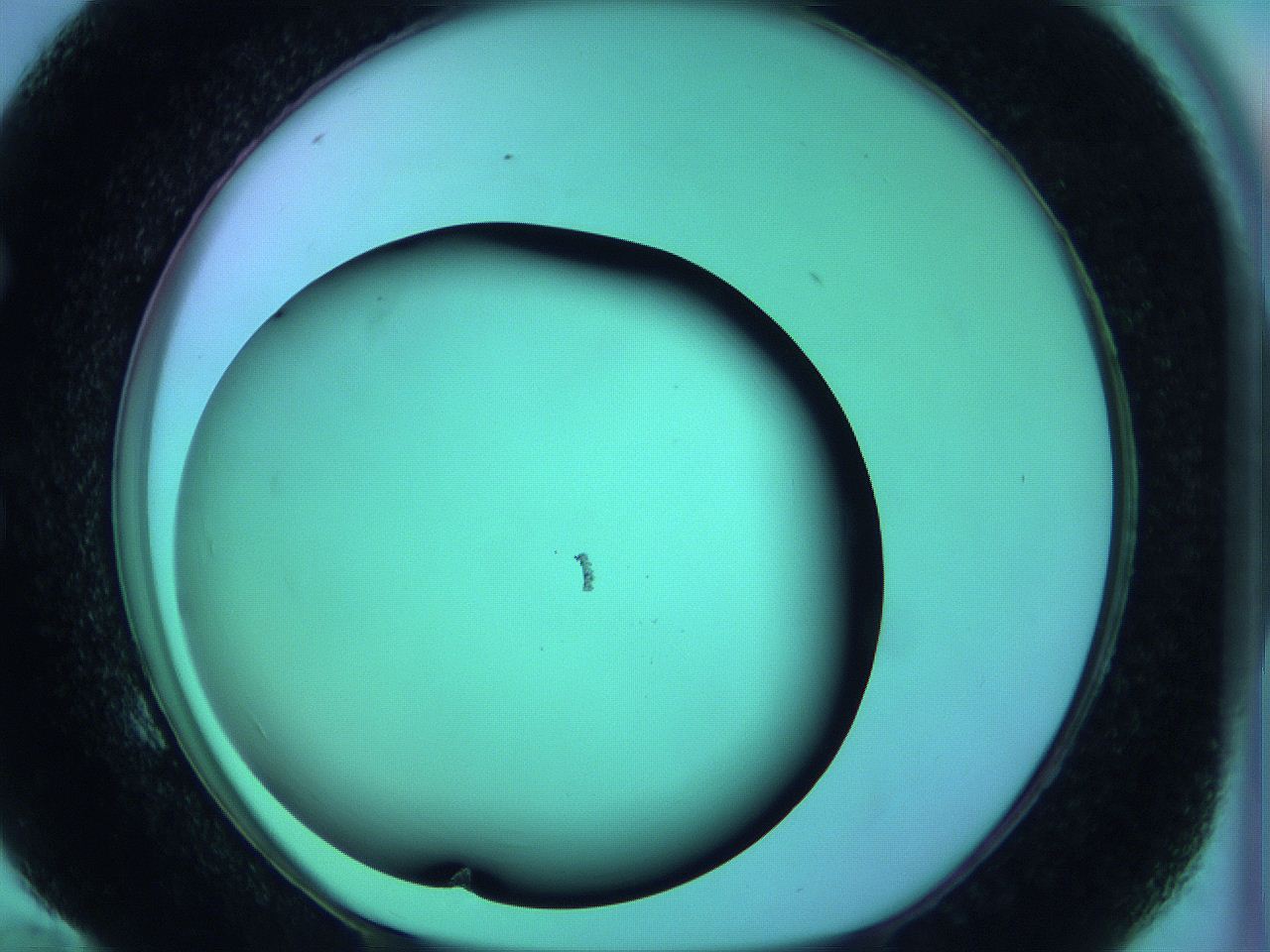 05zd_E10_ImagerDefaults_0.jpg