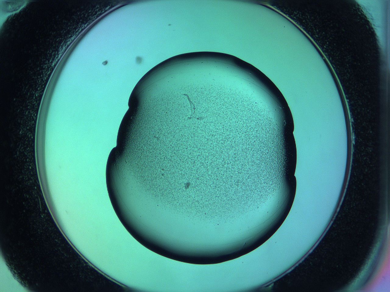 05zd_E10_ImagerDefaults_3.jpg