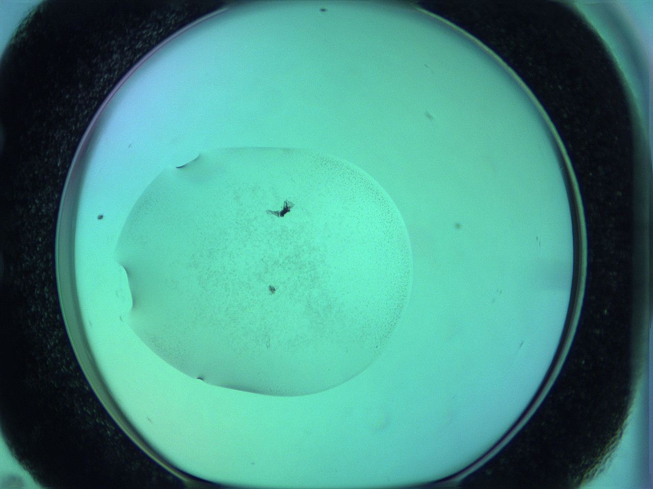 05zd_E11_ImagerDefaults_3.jpg
