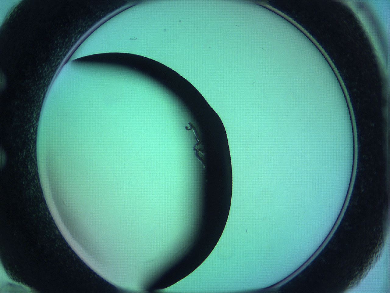 05zd_E12_ImagerDefaults_0.jpg