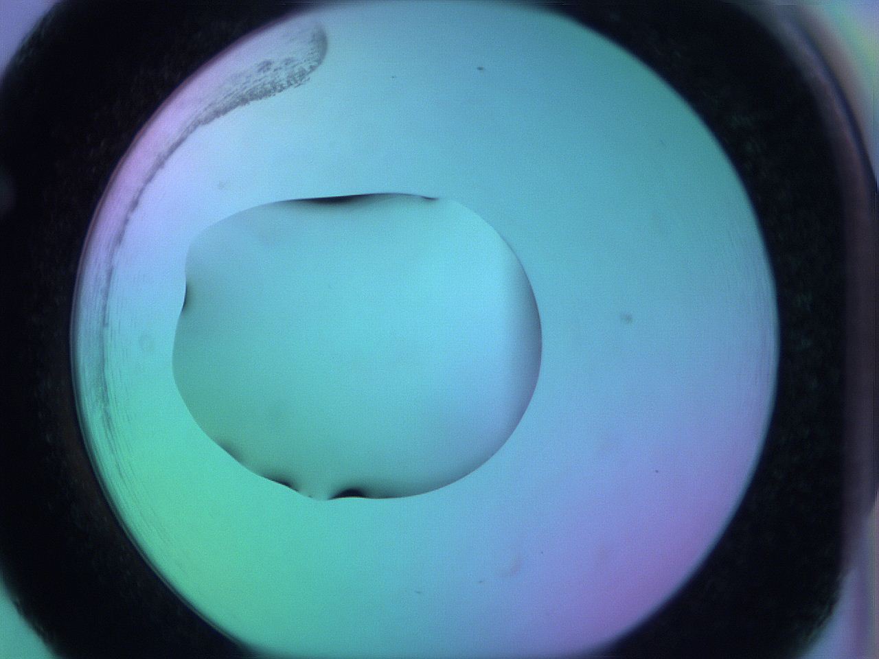 05zd_F5_ImagerDefaults_0.jpg