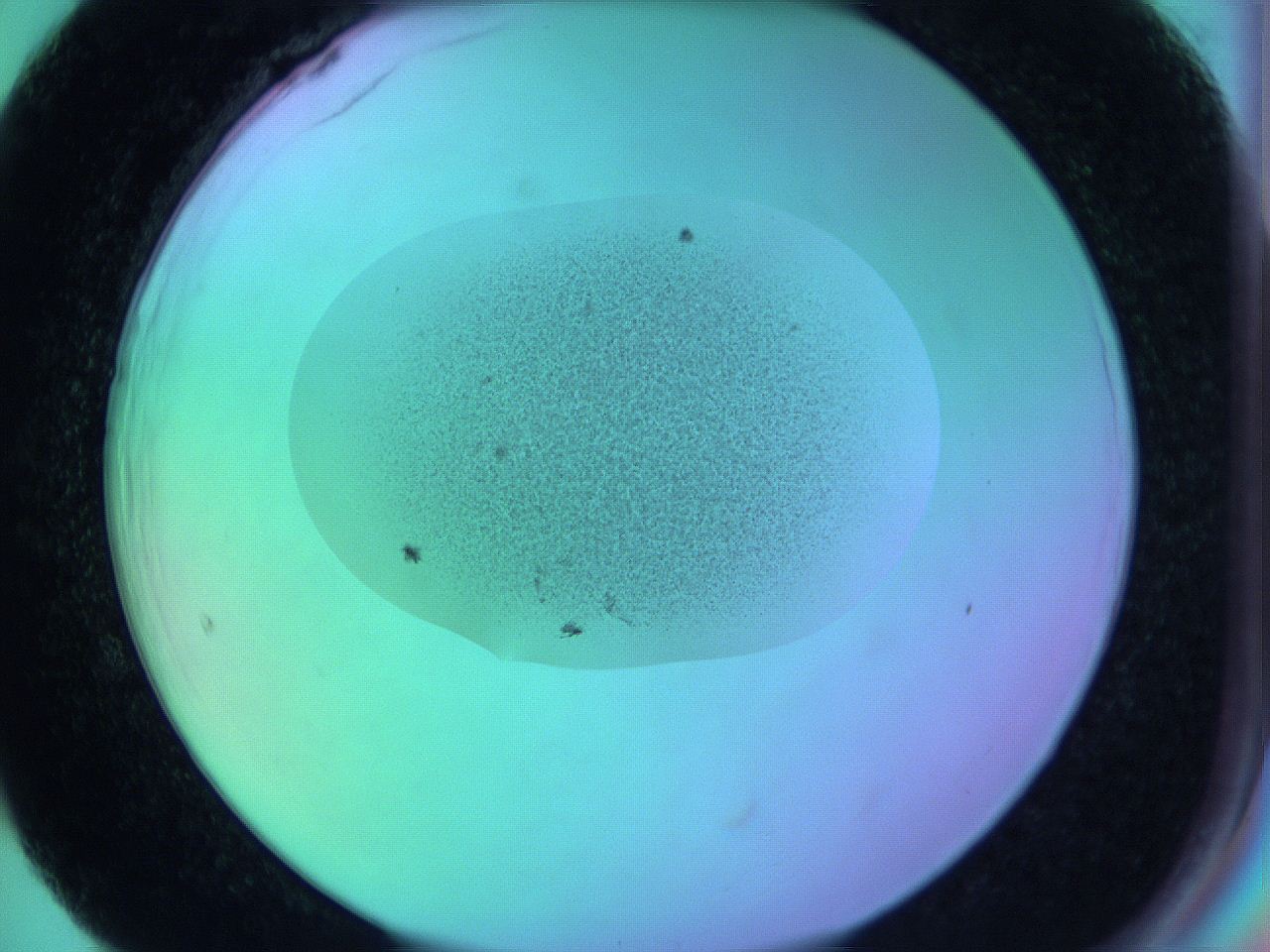 05zd_F5_ImagerDefaults_3.jpg