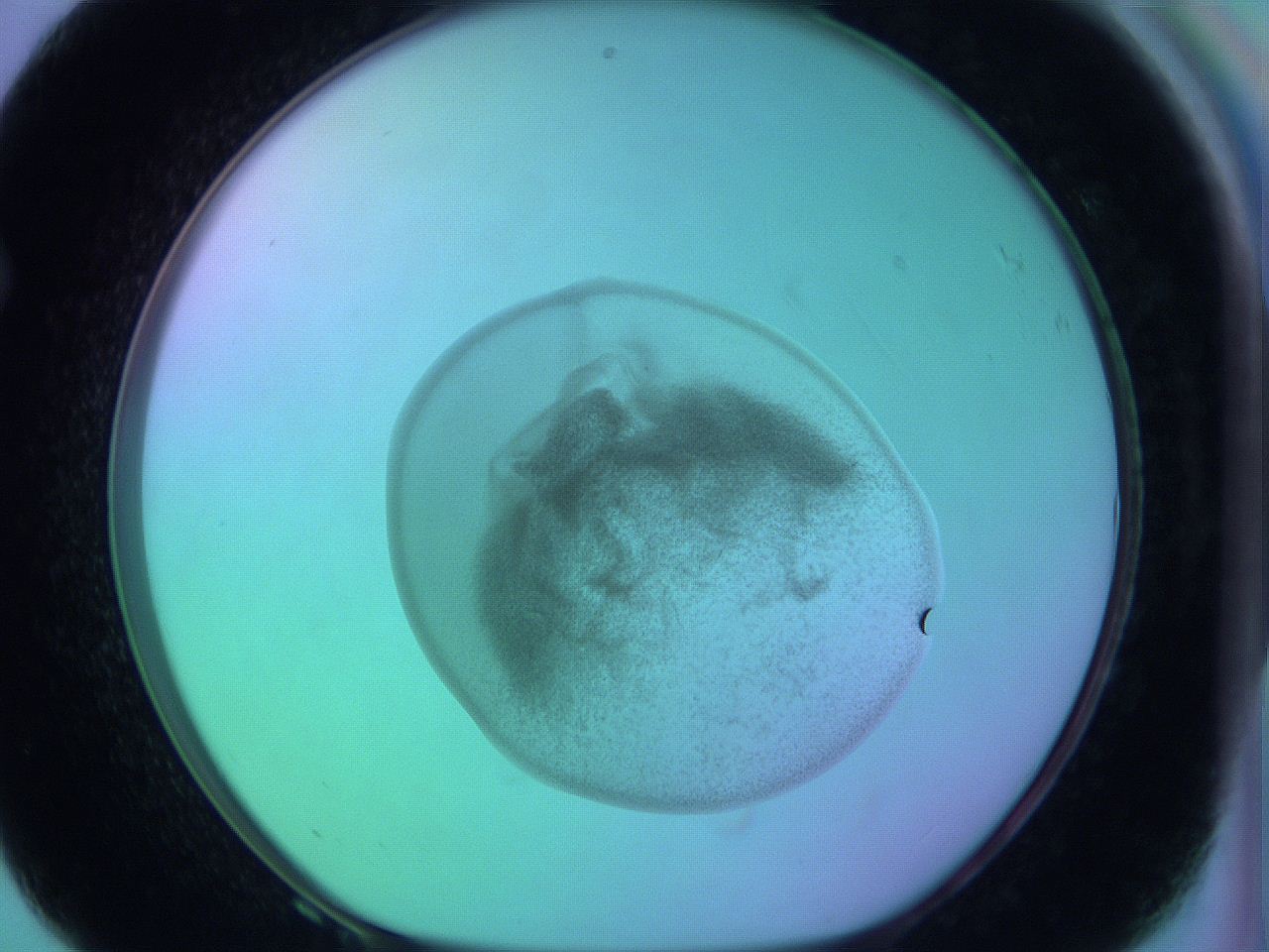 05zd_F8_ImagerDefaults_3.jpg