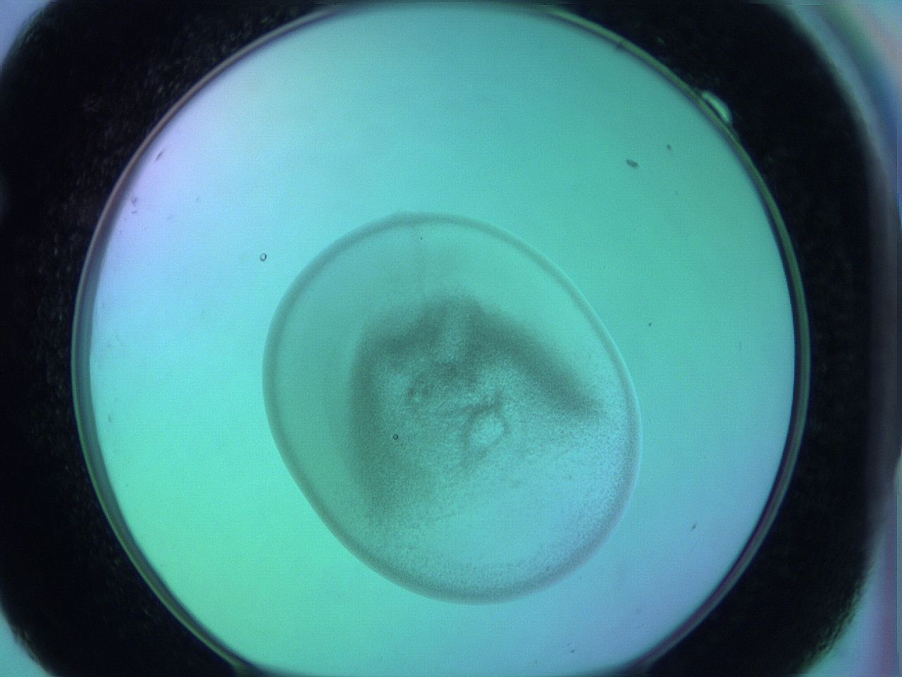 05zd_F9_ImagerDefaults_3.jpg