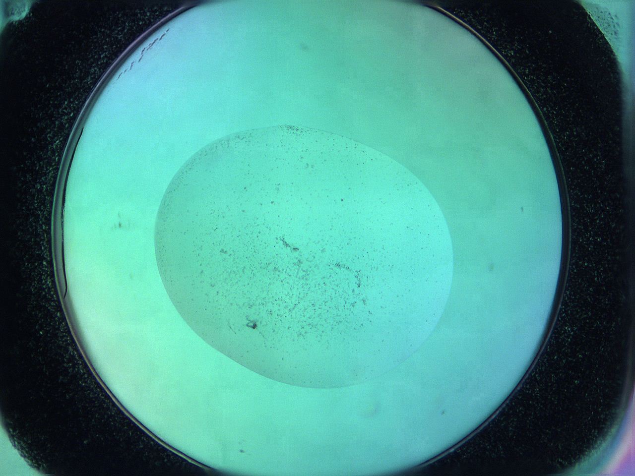 05zd_F11_ImagerDefaults_3.jpg
