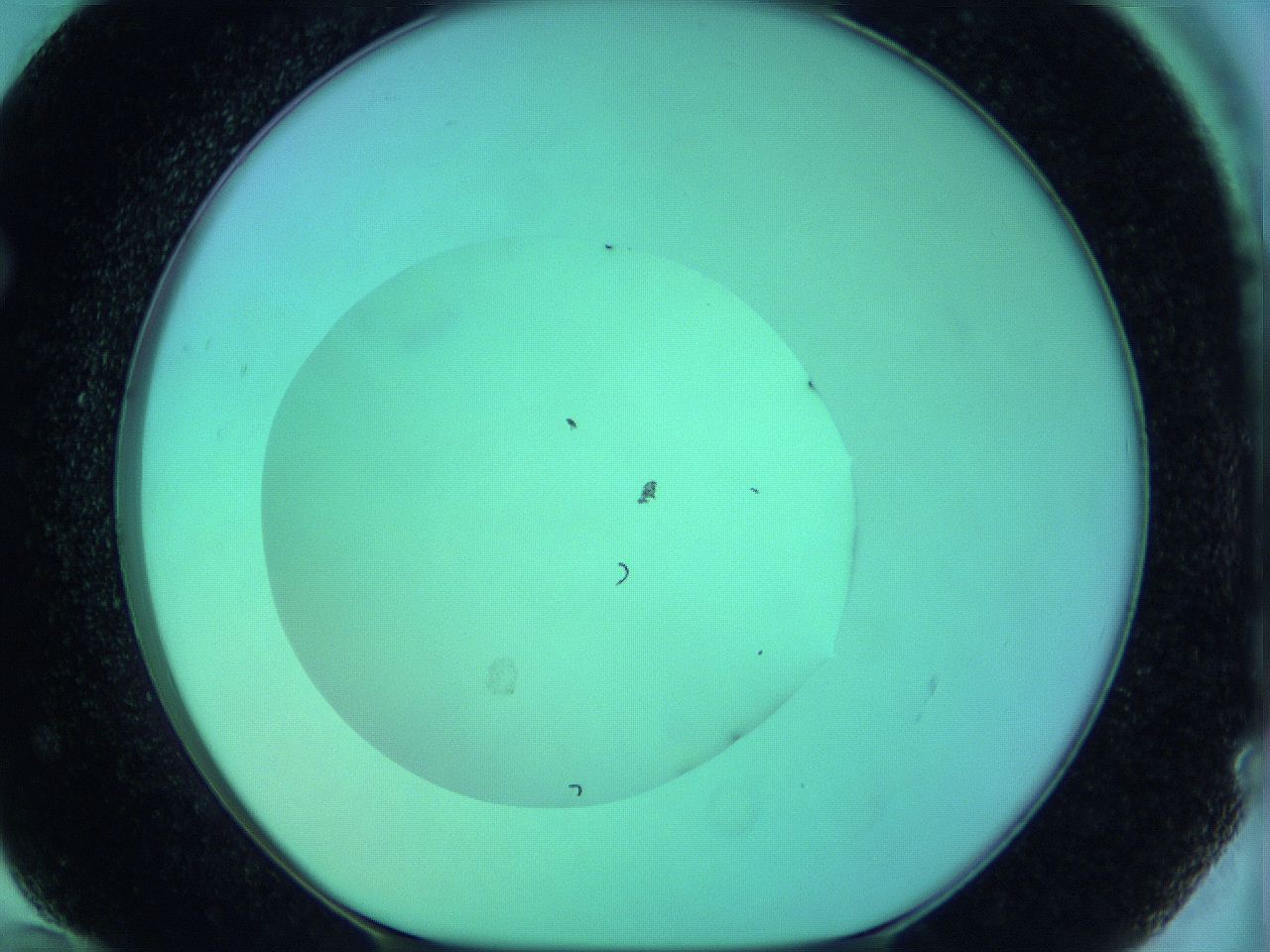 05zd_F12_ImagerDefaults_0.jpg