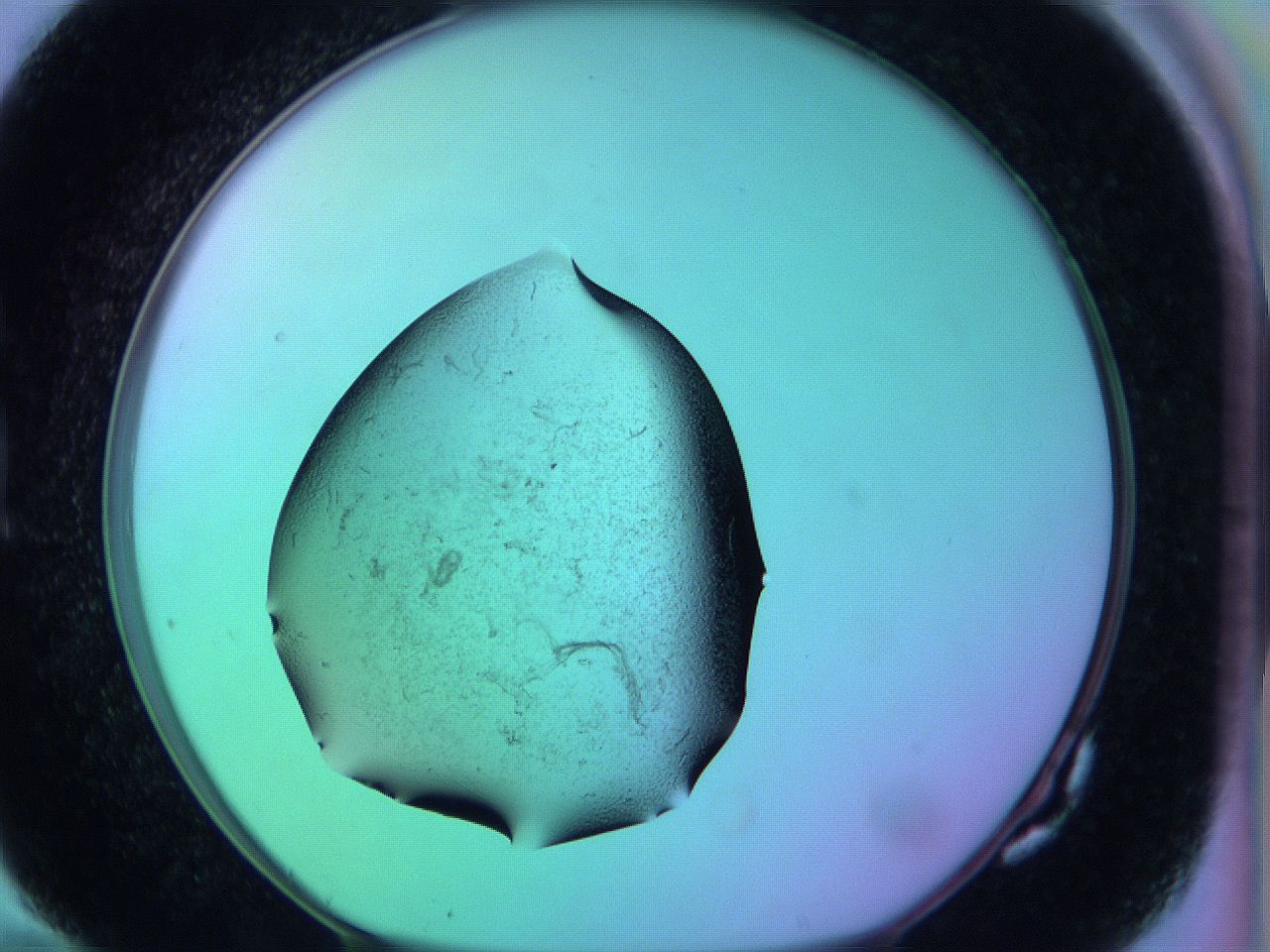 05zd_G10_ImagerDefaults_3.jpg