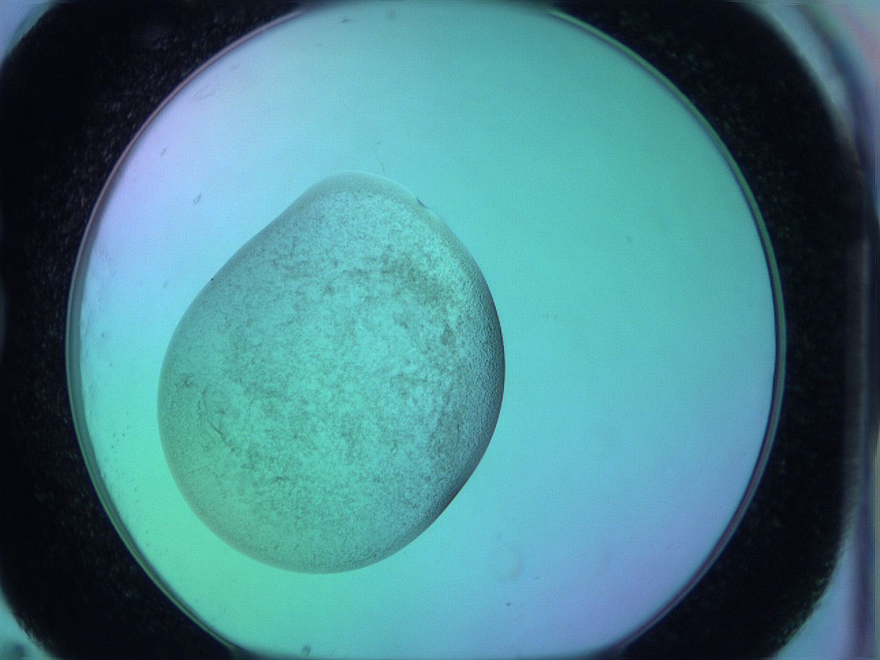 05zd_G11_ImagerDefaults_3.jpg
