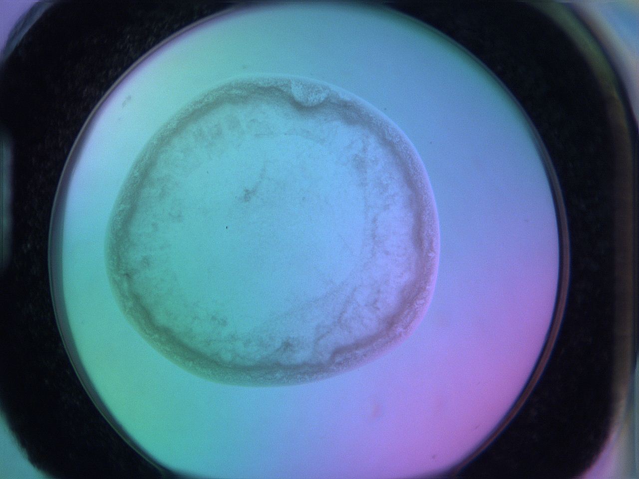 05zd_H4_ImagerDefaults_3.jpg
