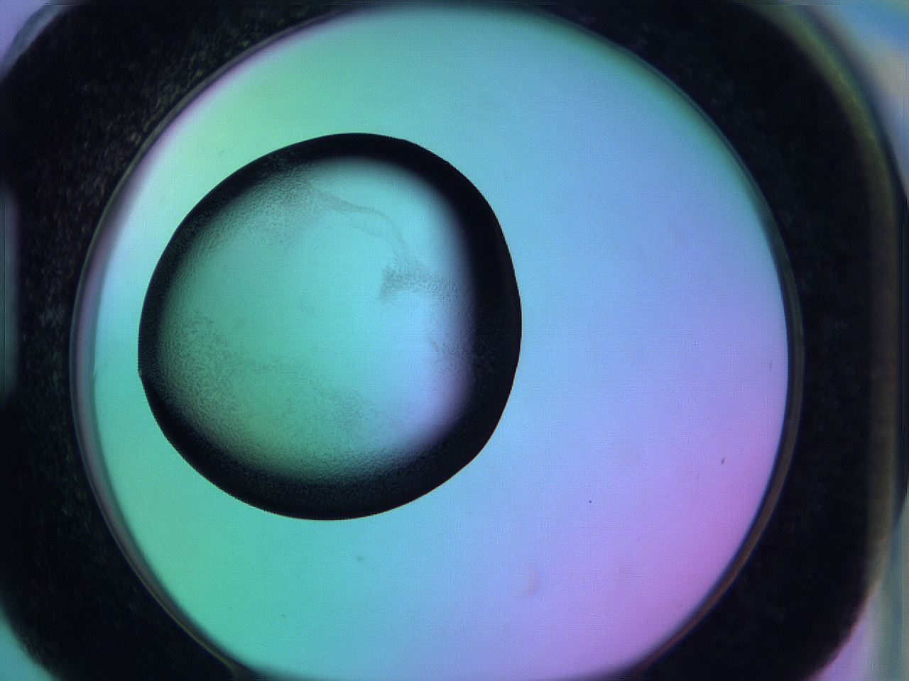 05zd_H6_ImagerDefaults_3.jpg