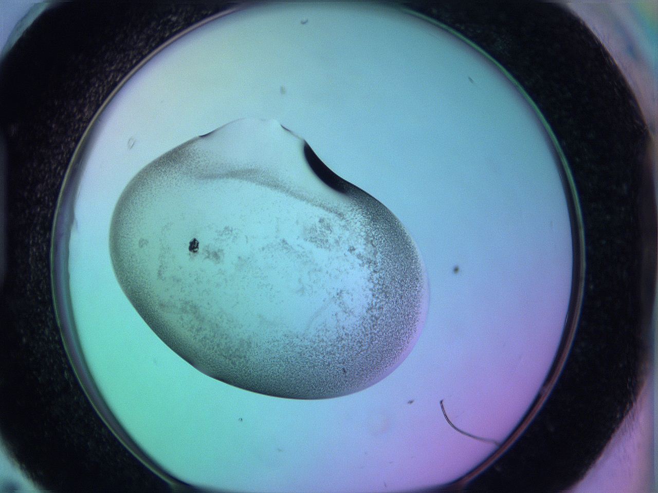05zd_H11_ImagerDefaults_3.jpg