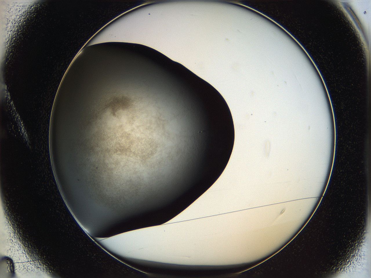 05zr_A4_ImagerDefaults_6.jpg