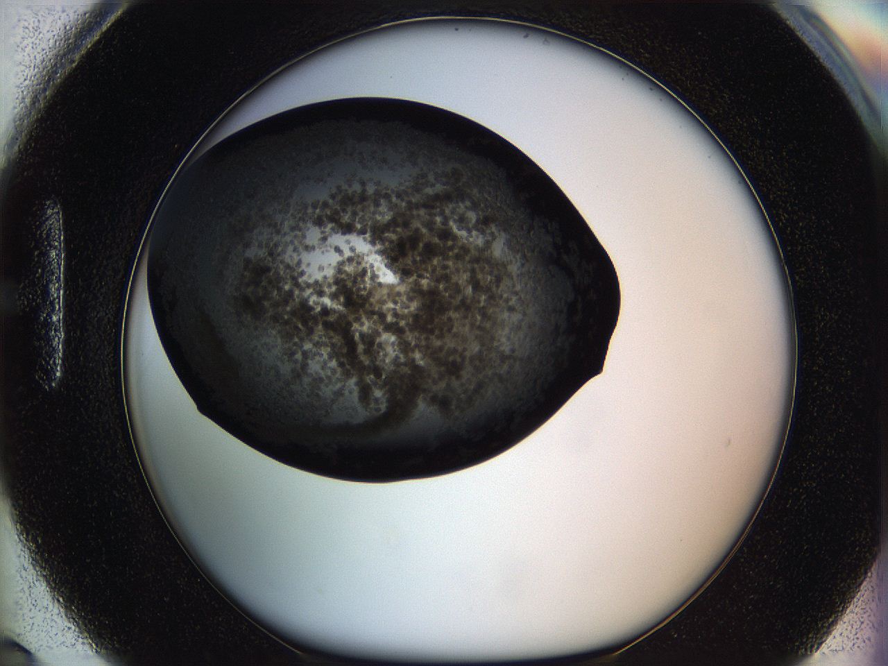 05zs_H6_ImagerDefaults_6.jpg