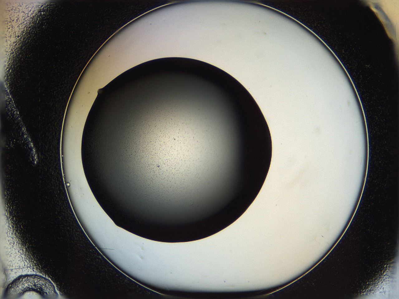 05zs_A10_ImagerDefaults_6.jpg