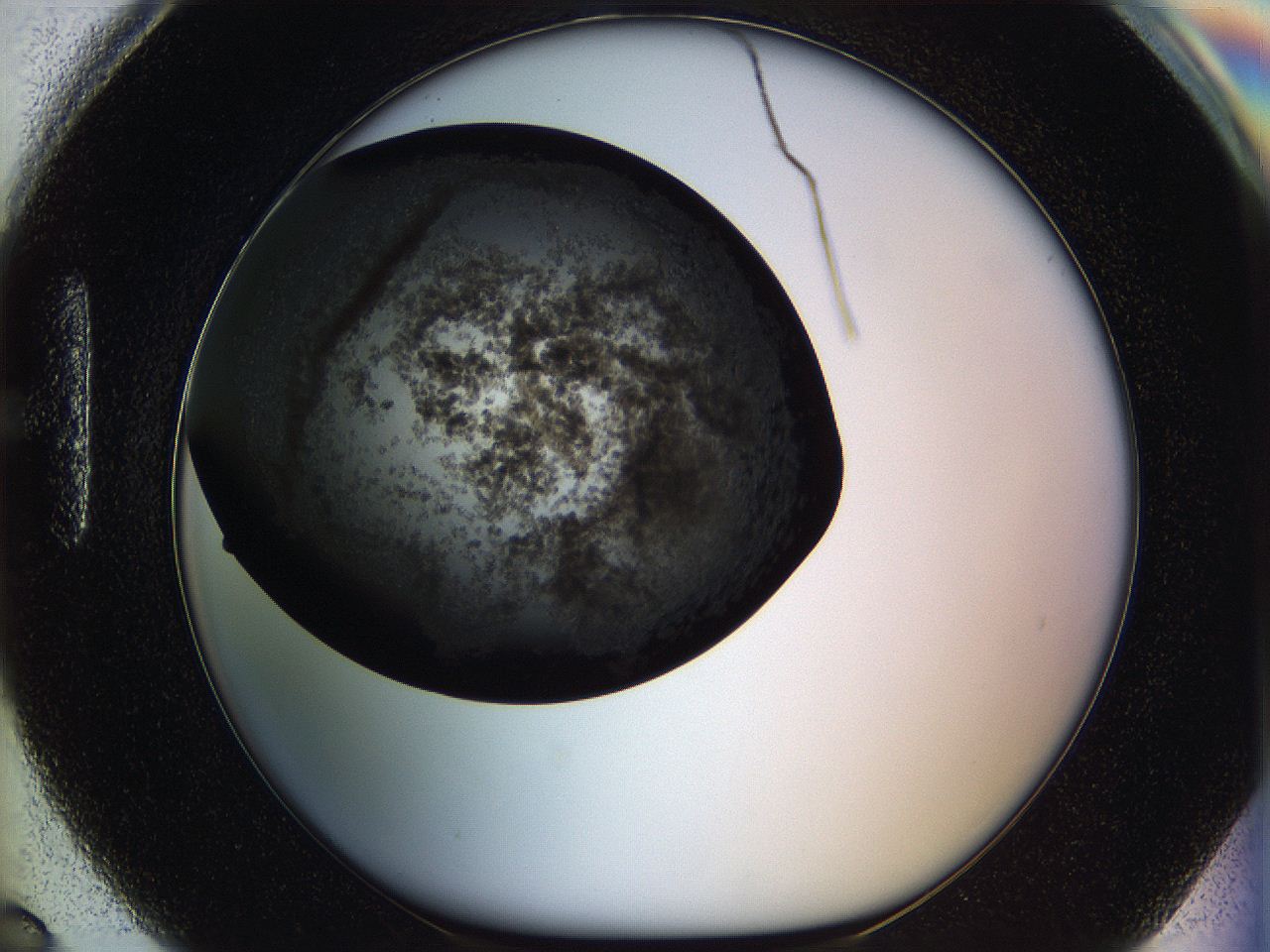 05zt_H6_ImagerDefaults_6.jpg