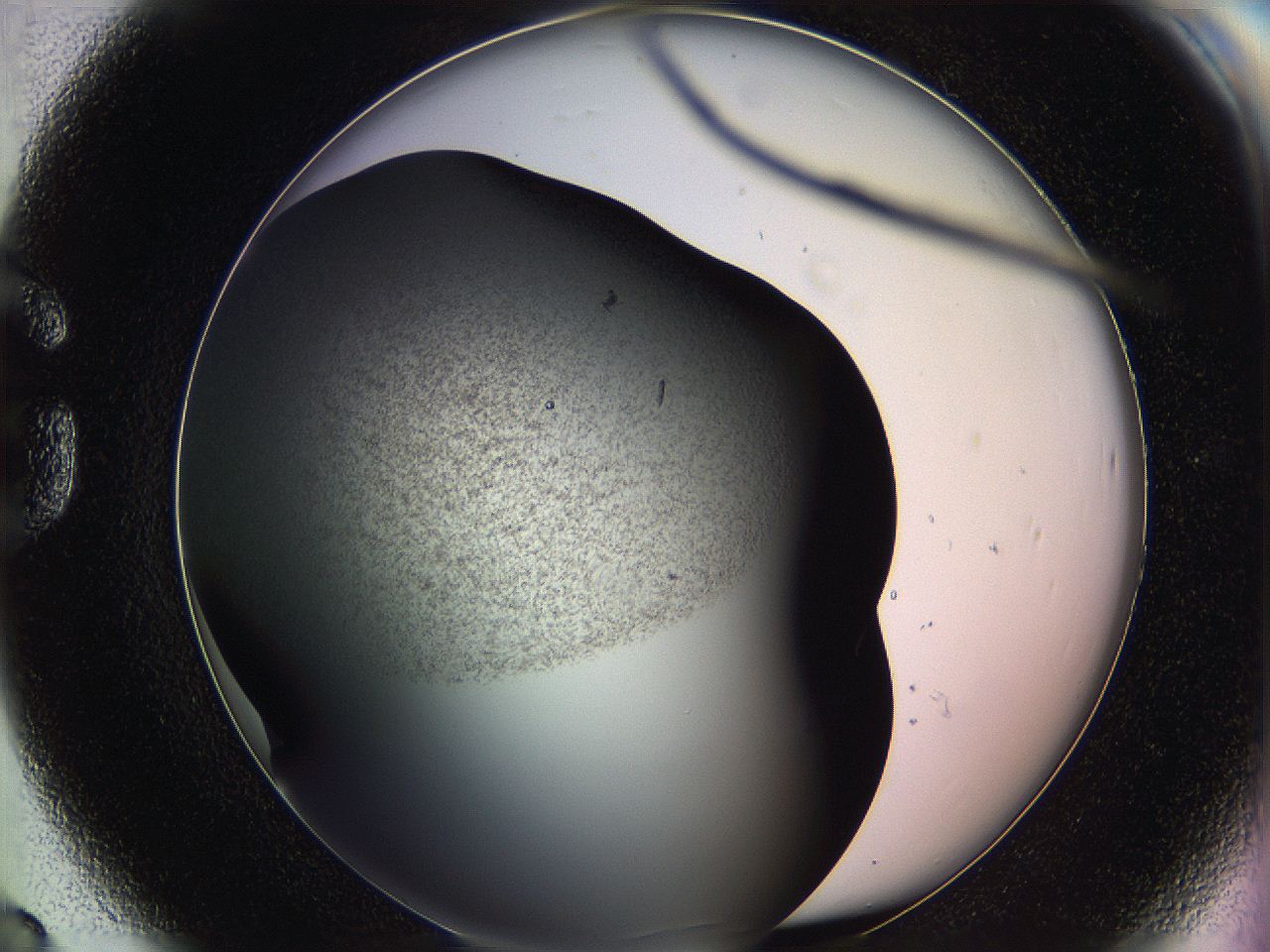 05zt_G8_ImagerDefaults_6.jpg