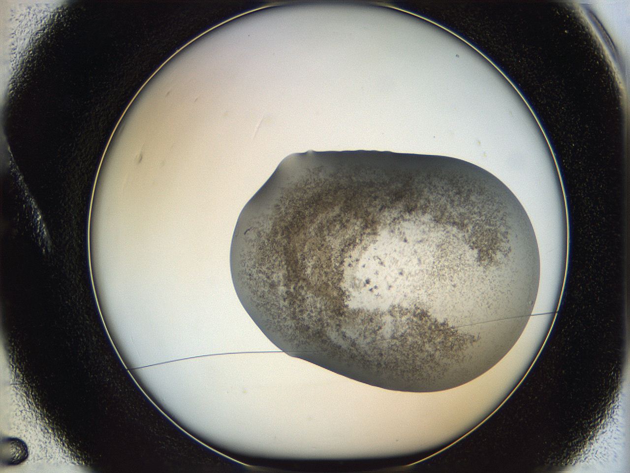 05zx_A5_ImagerDefaults_6.jpg