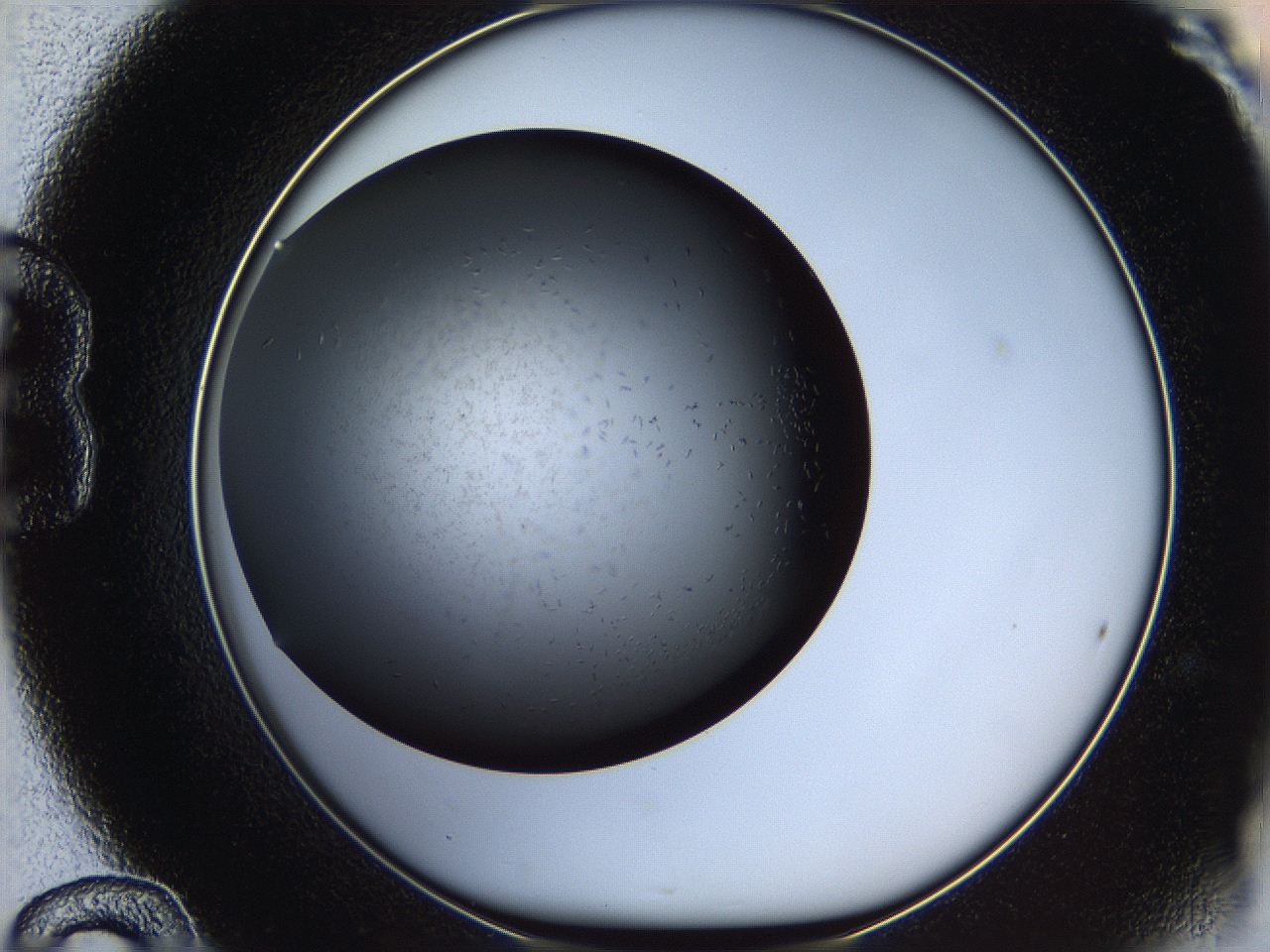0602_B12_ImagerDefaults_6.jpg