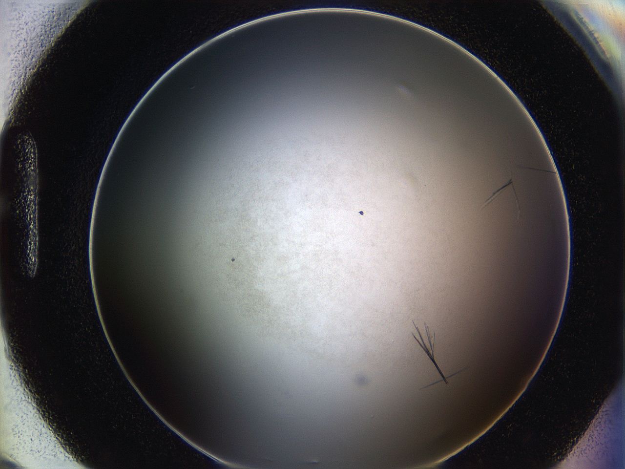 0602_H9_ImagerDefaults_6.jpg