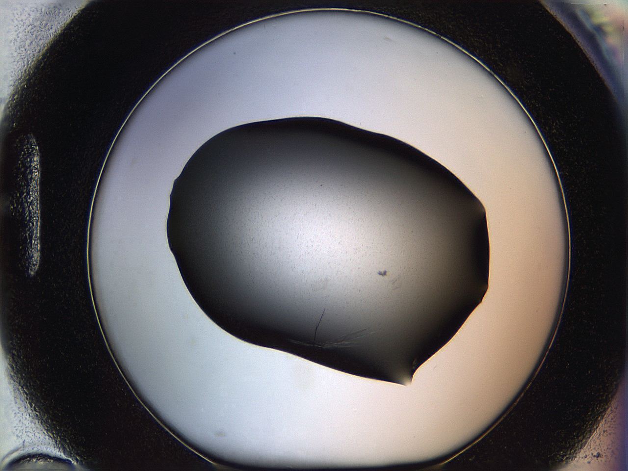 0602_H10_ImagerDefaults_6.jpg