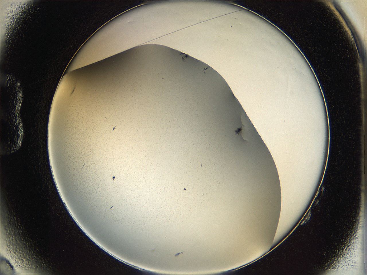 0603_B2_ImagerDefaults_6.jpg